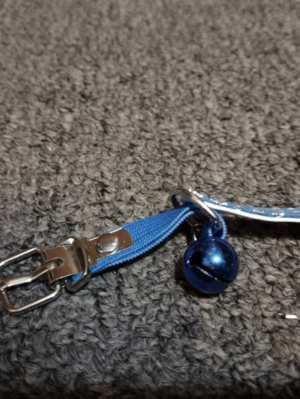 Sparkling Blue Braided Cat Collar with Bell